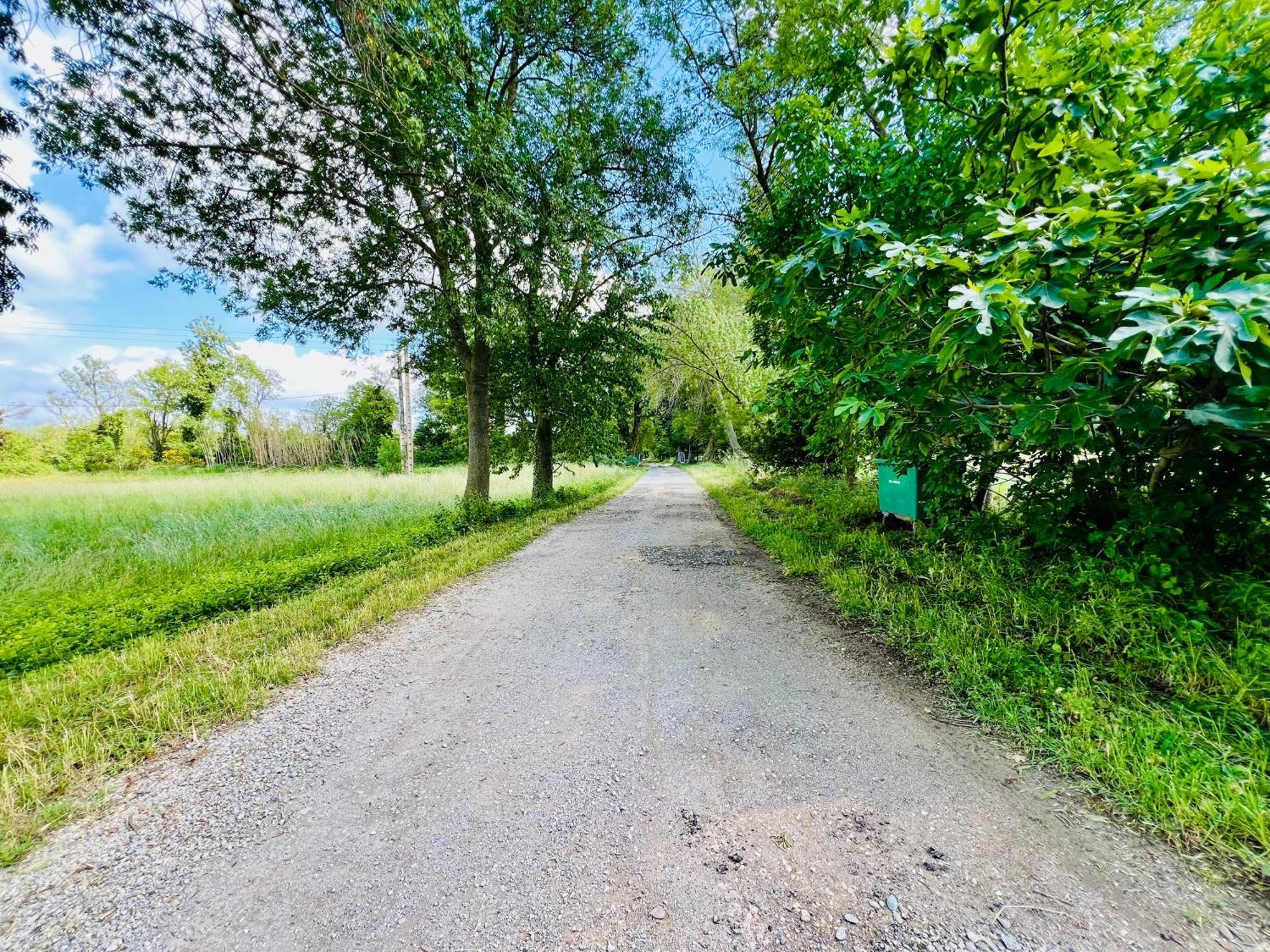 Le Moun Mazet Gite Rural 3 Etoiles, Clim, Nature, 6 Personnes ミラマ エクステリア 写真